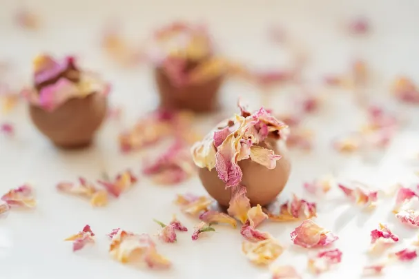 88Goals Casino Android/iOS App